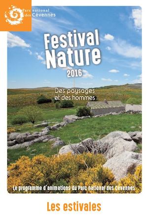 Festival Estivales 2016