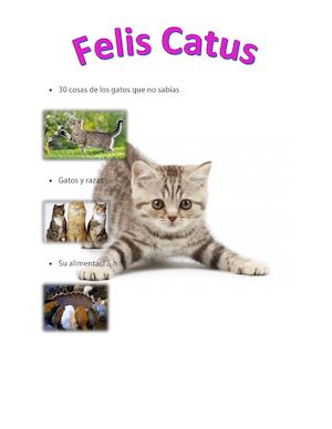 Revista Gatos
