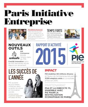 RAPPORT D'ACTIVITE PIE 2015
