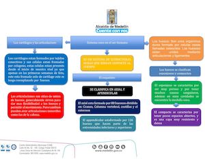 Mapa Conceptual De Samuel Sist Oseo