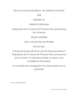 Proyecto De 3apimientoegb