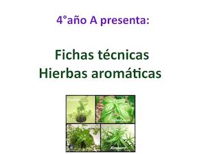 4°año A Presenta