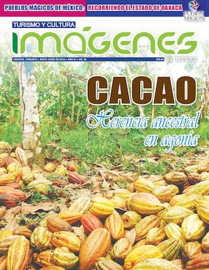 Imágenes de México No. 49