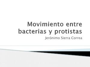 Movimiento Entre Bacterias Y Protistas