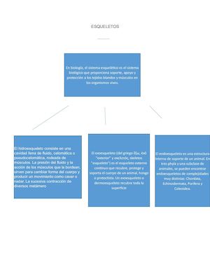 Esqueletos