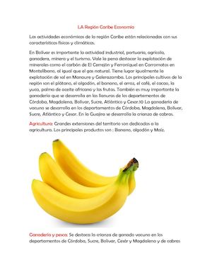 La Región Caribe Economía (1)