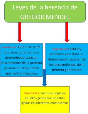 Ciencias