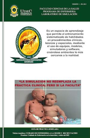 Guia Practica Insercion De Diu (1)ok (1)