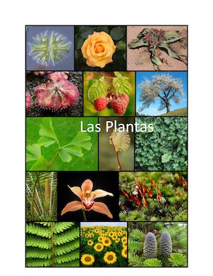 Libro Las Plantas