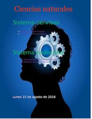 sistema nervioso y endocrino