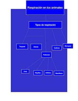 Biologia Mapa Conceptual
