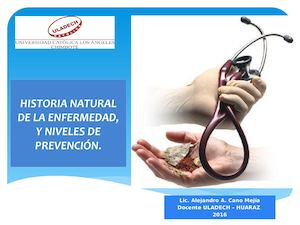 Historia Natural De La Enfermedad, Y Niveles De Prevención
