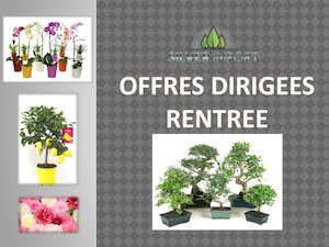 Offres Dirigees Rentree V2