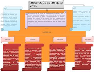Locomoción En Los Seres Vivos 1