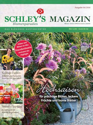 Mein Paradies 4-2016 Schley's Blumenparadies