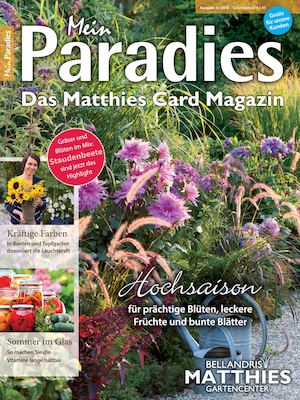 MeinParadies Matthies 4/2016