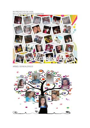 Mi Proyecto De Vida