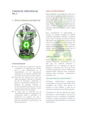 3 1 Raee Problematica