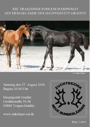 Trakehner Fohlenchampionat Graditz Katalog 2016
