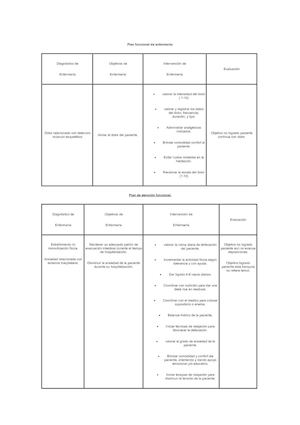 Plan Funcional De Enfermería