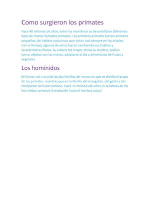 Como Surgieron Los Primates
