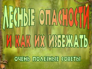 Лесные опасности и как их избежать