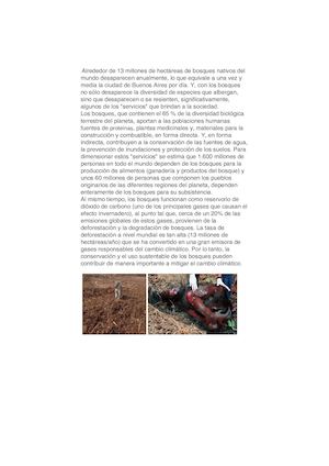 Concientización Deforestación