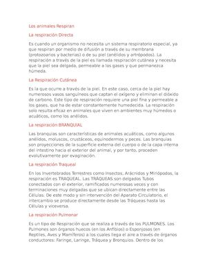 Los Animales Respiran