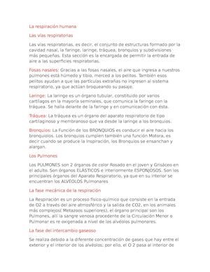 La Respiración Humana