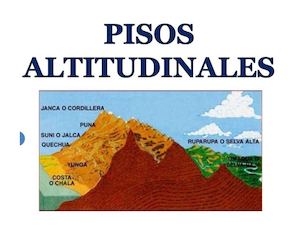 Pisos Altitudinalesppt