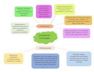 Sistema Locomotor Animales