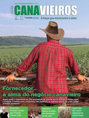 Fornecedor...  a alma do negócio canavieiro