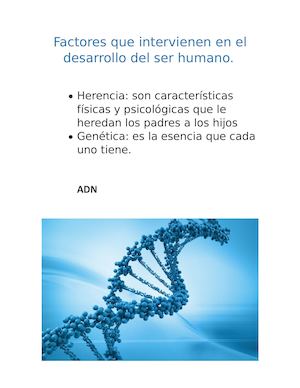 Factores Que Intervienen En El Desarrollo Del Ser Humano