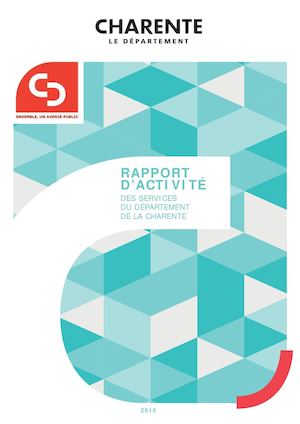Rapport d'activité 2015