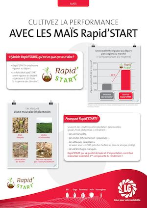Maïs Rapid'START - LG Semences