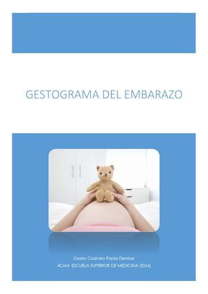 Gestograma Del Embarazo