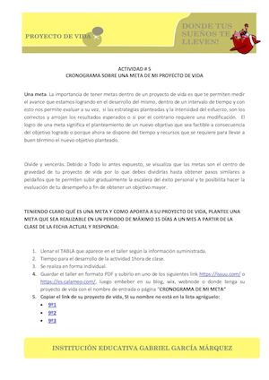 CRONOGRAMA DE MI META