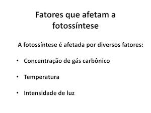 Fatores Que Afetam A Fotossíntese