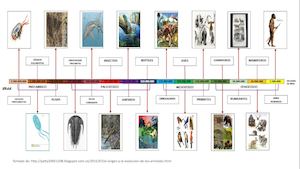 Presentacion Fauna Primer Momento