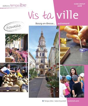 Vis Ta Ville 2016
