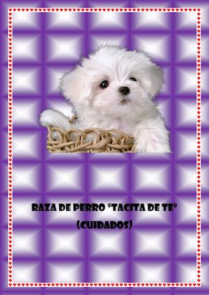 Cuidados Del Poodle