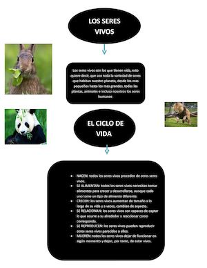 Mapa Conceptual