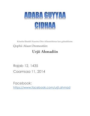 Adaba Guyyaa Aruuzaa