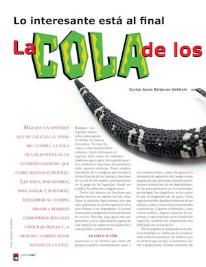 10 Lo Interesante Esta Al Final