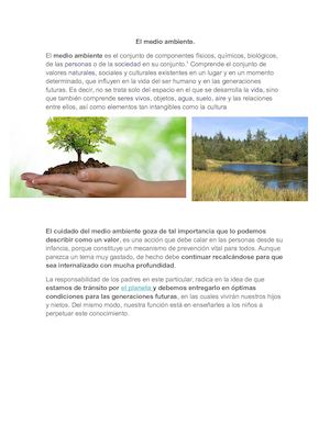 El Medio Ambiente