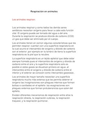 Respiración En Animales