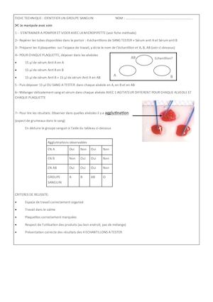 Fiche Tp Groupes Sanguins