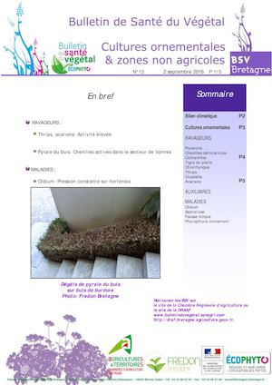 BSV Cultures Ornementales Et ZNA N°13 Du  02 09 16