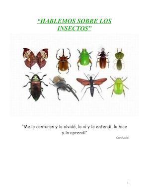 Hablemos Sobre Insectos