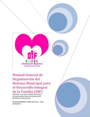 Manual Organizacion Sistema DIF
